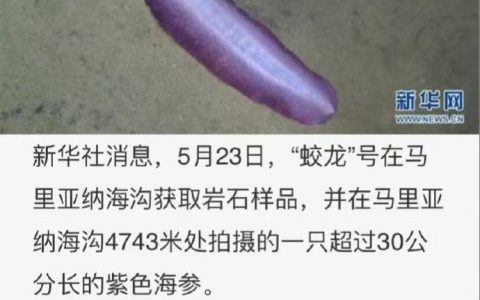 弥补了海里没有茄子的空缺