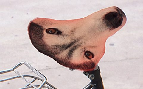 自行车座