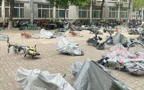 大学生有的是力气和手段