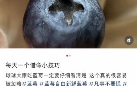 蓝莓我都是用水一冲直接往嘴里送了啊，没去仔细看过！！！