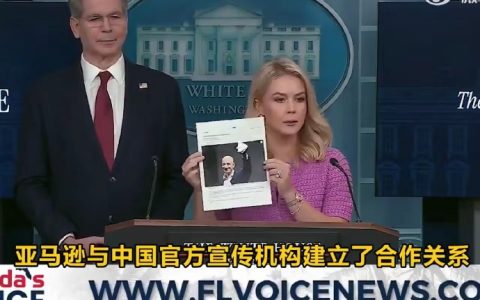 亚马逊现在是白宫的敌人了