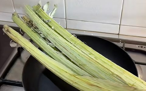 这根芹菜要是来中国，全中国的芹菜都得叫它太奶