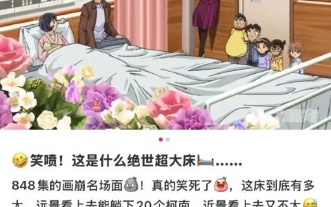 可以柯南全剧组一起躺板板 ​​​