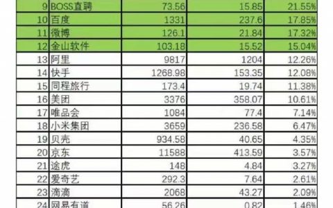 2024年互联网公司营收利润