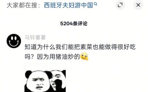 总结还是得掺点荤腥才好吃