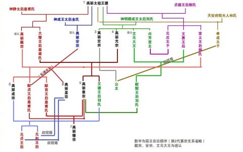 他们高丽人的感情，挺复杂挺流动的