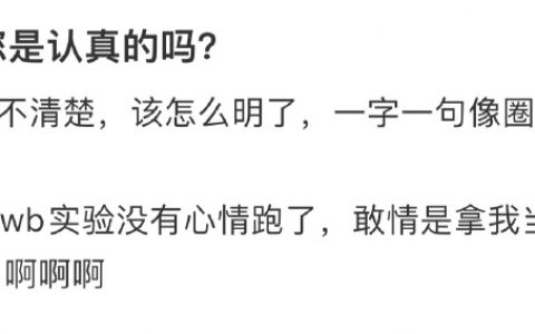 导师您是认真的吗？