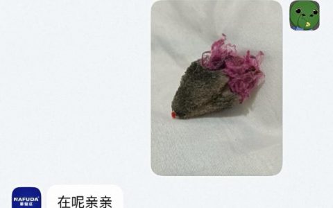 人麻了…客服把爱猫的阿贝贝寄给我了 ​​​