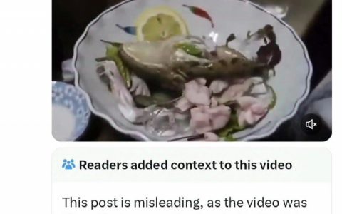合着这青蛙在日本就感受不到痛苦？ ​​​